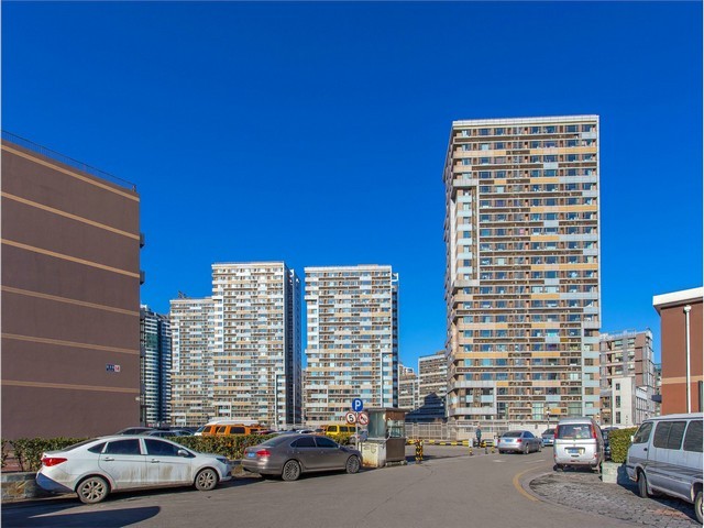 黄浦区全自动拉毛机零售